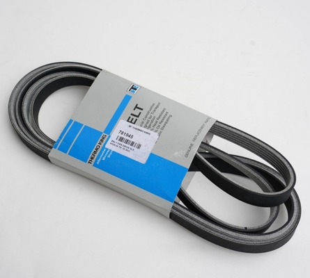 781945 Cinghia THERMO KING per Slxe Slxi Spectrum