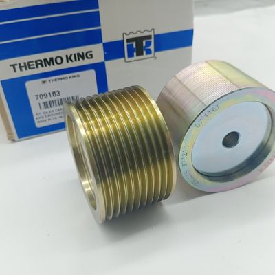 TS16949 termo tendicinghia di re Refrigeration Units 709183