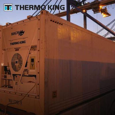 MP4000 THERMO KING Unità di refrigerazione per container Magnum Plus