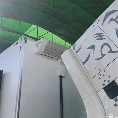 Unità di refrigerazione THERMO KING RV1200S RV1200 per frigorifero Equipaggiamento di sistema di raffreddamento camion Conservare la carne e il pesce