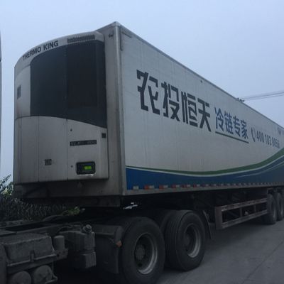 Unità frigorifera Thermo King 0 Celsius SLXI 300 per il raffreddamento di alimenti