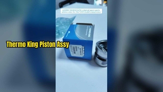 220850 THERMO KING ricambio originale pistone compl